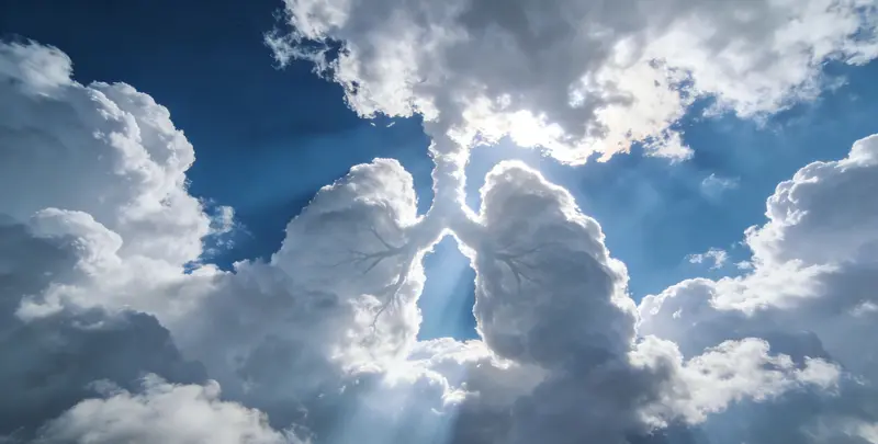 福州肺癌13基因突变检测（组织）图片1