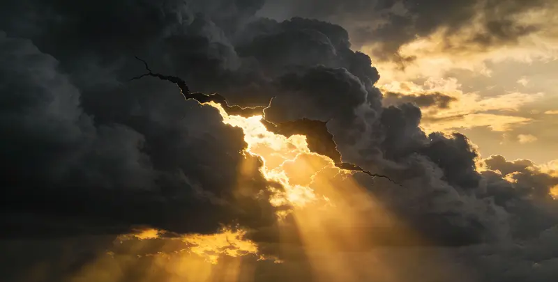 福州肺癌靶向120基因检测（组织）图片1